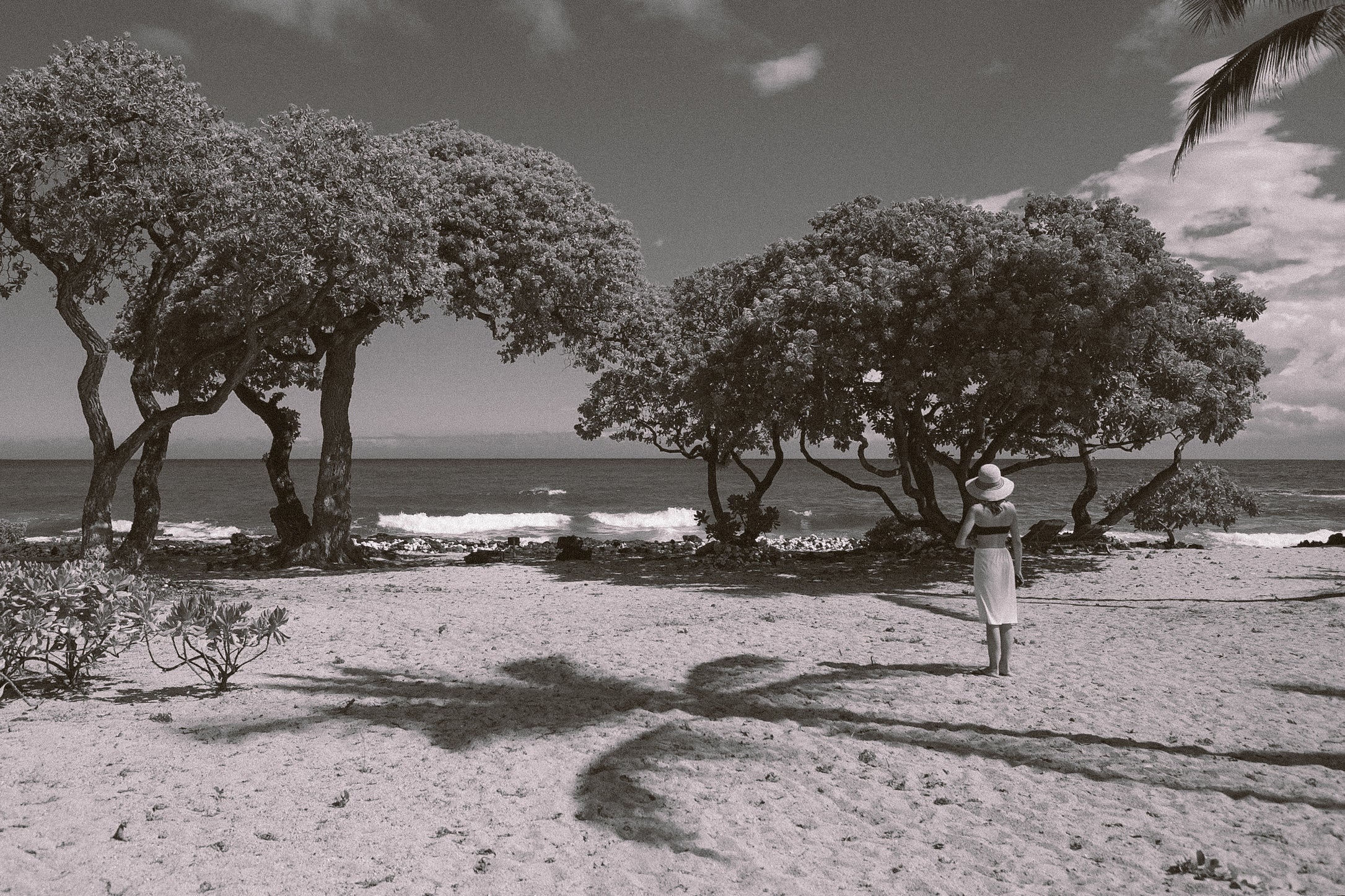 Postcards from The Big Island: in Conversation with Colby Milano